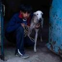 Ciudad sin sueño: Proyección y encuentro con Guillermo Galoe