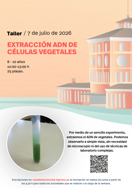 Taller: Extracción ADN de células vegetales