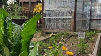 Aprende sobre naturaleza con yincanas, talleres y un escape room