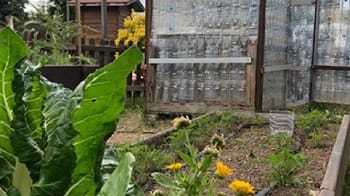 Aprende sobre naturaleza con yincanas, talleres y un escape room
