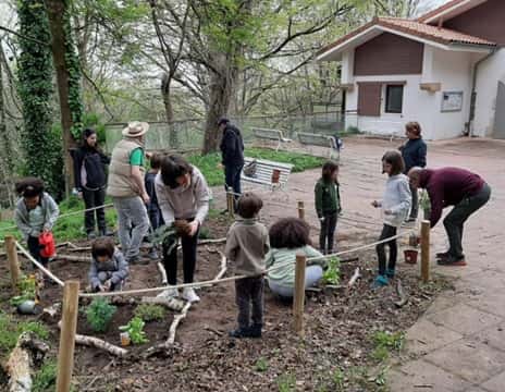 Actividad infantil: Oasi bat basoan?