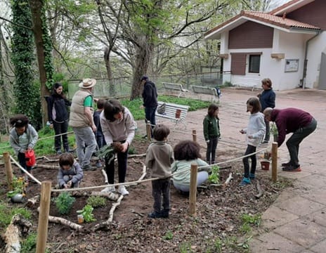 Actividad infantil: Oasi bat basoan?