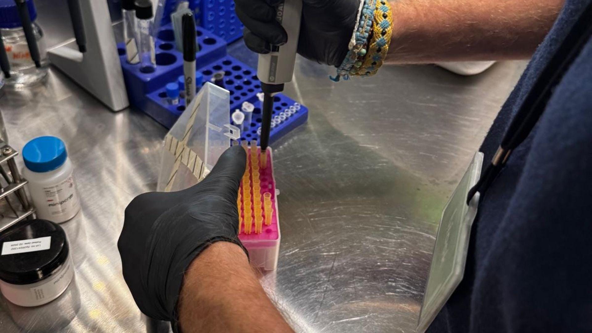 Laboratorio del sueño: ¿eres diurno o nocturno? ¿Qué dice tu ADN?