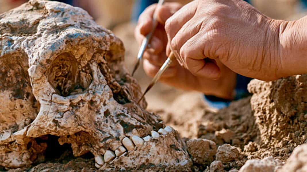 Conferencia inaugural sobre los nuevos descubrimientos arqueológicos del Instituto de Evolución en África en Olduvai Gorge