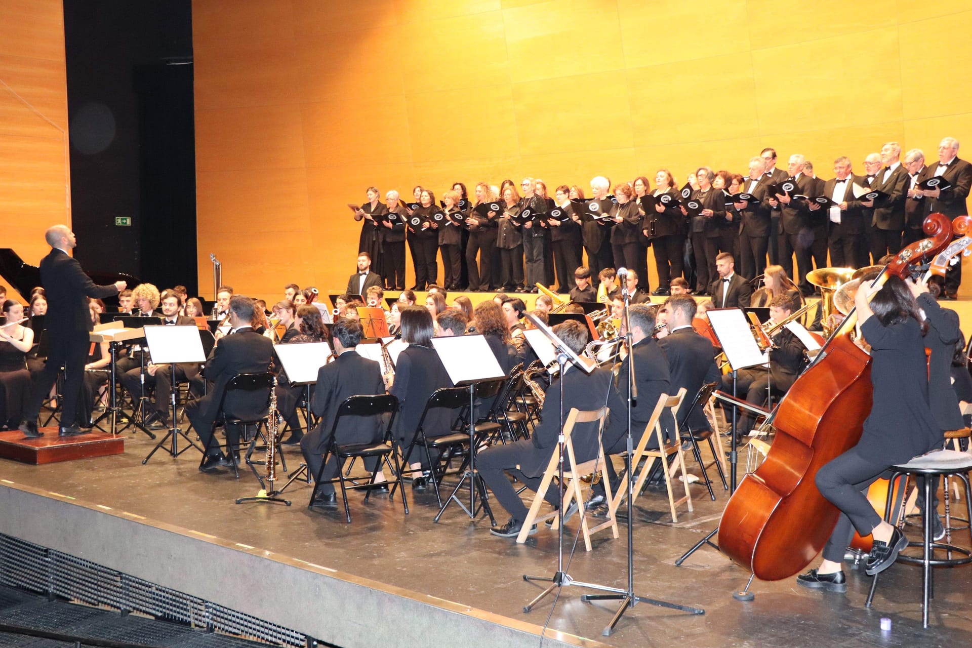Concierto de Primavera de la Banda de Música de Salcedo