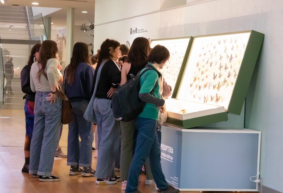 Visitas guiadas especiales del Museo de Historia Natural de la USC