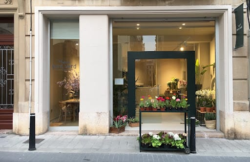 Floristeria Punt Verd: plantas y libros sobre naturaleza en Reus