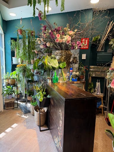 La Floristeria: café de especialidad y plantas en Granollers