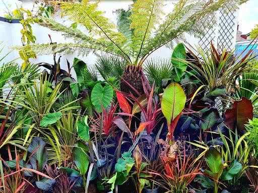 Guide to Earth Nursery & Landscaping in Bournemouth