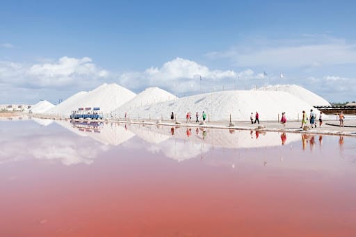 Guía para visitar las Salinas de Torrevieja
