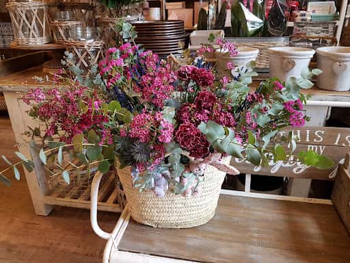 Floristería La Trastienda: plantas exóticas y café