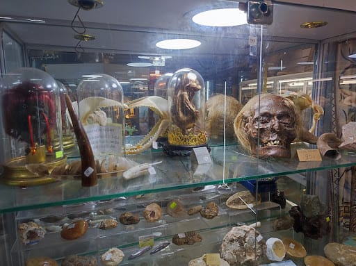 Curiosity shop, curiosidades junto a Las Canteras