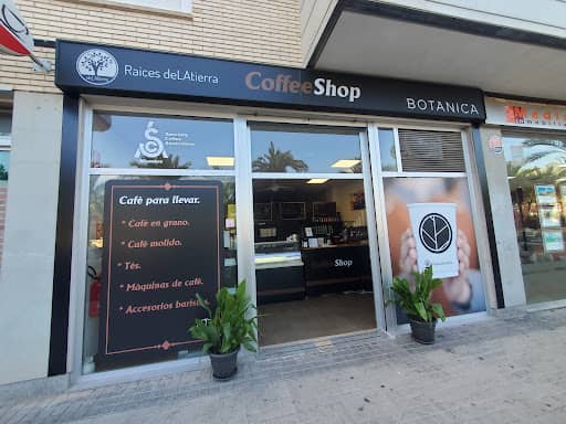 BOTANICA Coffee Experience: café de especialidad en Elche