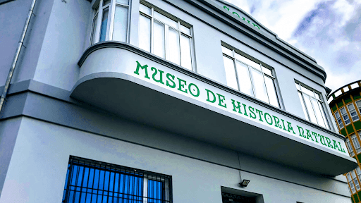 Museo de Historia Natural de Ferrol: qué ver