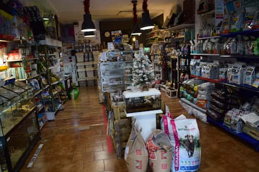 Prehistorics: reptiles y mascotas exóticas en Sant Boi