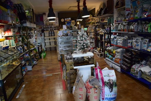 Prehistorics: reptiles y mascotas exóticas en Sant Boi