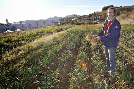 Hort d'en Dídac: plantas exóticas y terrarios en Mataró