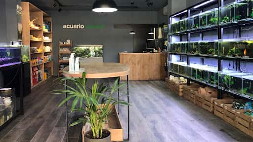 Acuario Natural: plantas exóticas y botánica en Pamplona