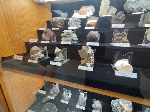 Museu Valentí Masachs: geología en Manresa