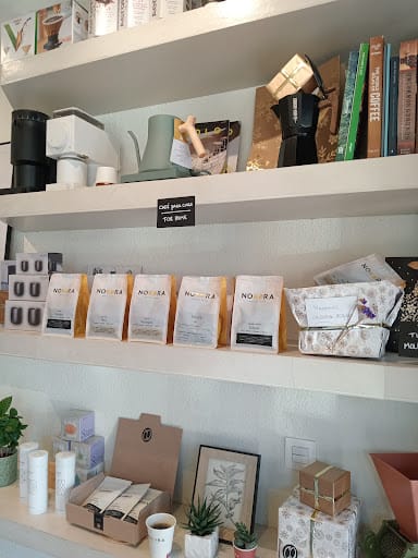 Nokora Specialty Coffee: café y botánica en Bilbao