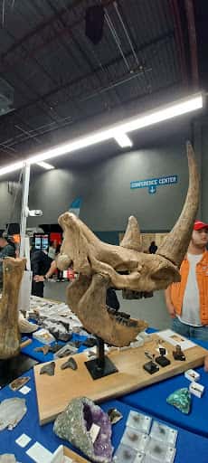NJ Mineral, Fossil, Gem & Jewelry Show in 2026