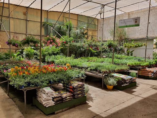Garden home Tenerife: vivero y centro de jardinería en Arona