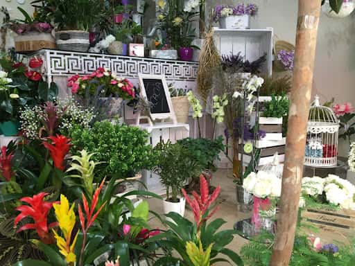 Floristería Acacia Mérida: servicios y precios