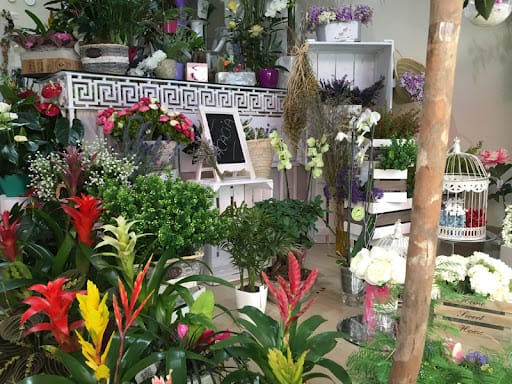 Floristería Acacia Mérida: servicios y precios