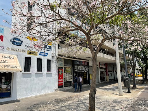 Digi-Photo: reparación de cámaras en Guadalajara