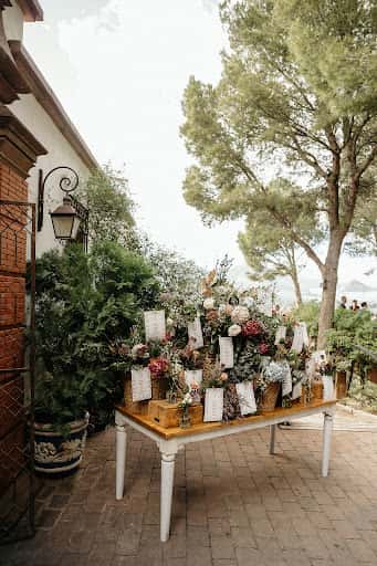 Petite Reunion: moda vintage y plantas exóticas en Jaén