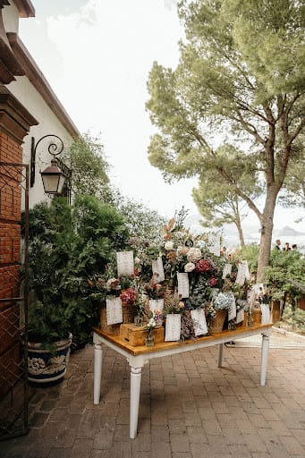 Petite Reunion: moda vintage y plantas exóticas en Jaén