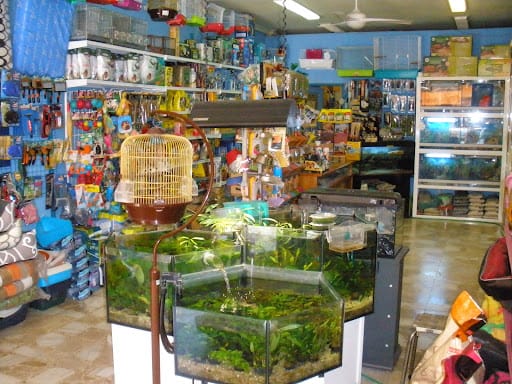 Planeta Azul: Tienda de acuariofilia y mascotas en El Val