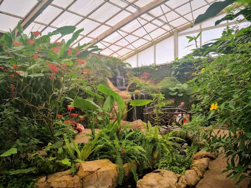 Visita a Monowa Butterfly Park en Benalmádena
