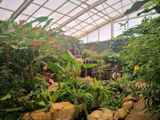 Visita a Monowa Butterfly Park en Benalmádena