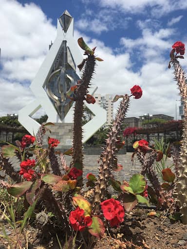Guía para visitar el Palmetum de Santa Cruz