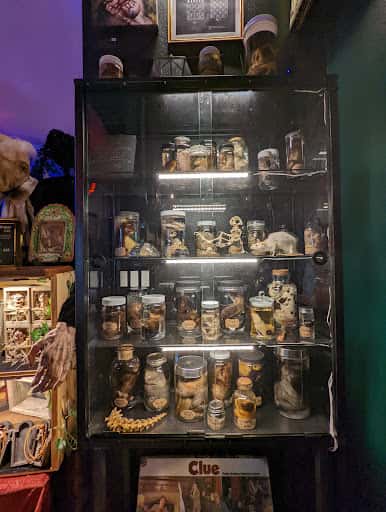 Inside Curia Arcanum's House of Curiosities in Austin