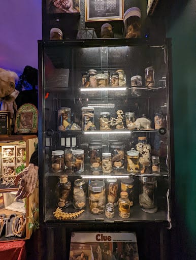 Inside Curia Arcanum's House of Curiosities in Austin