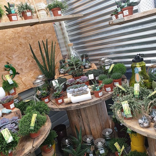 Cowell's Garden Centre in Woolsington, Newcastle