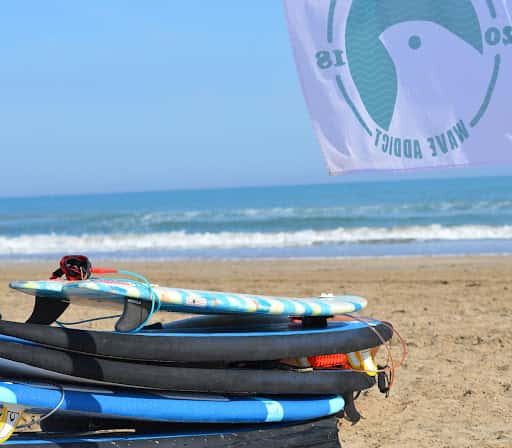 WAVEADDICT: Escuela de surf y paddlesurf en Vilanova