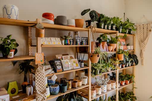 The Plant Society: Houseplants and Decor in East Austin