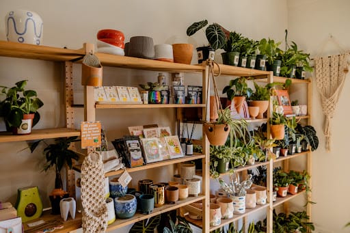 The Plant Society: Houseplants and Decor in East Austin