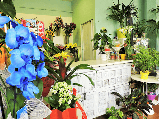 Floristería Merchi Bonsái Shiawase en Móstoles