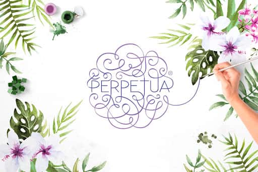 Perpetua Studio: arte y caligrafía en Guadalajara