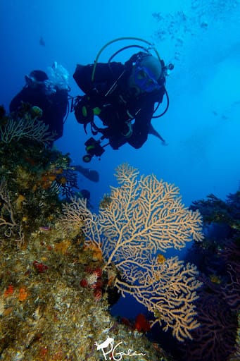 Centro de Buceo Burbujas: qué ofrece en Ceuta