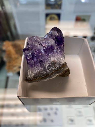 Geofossiles Rock Shop: fósiles y minerales
