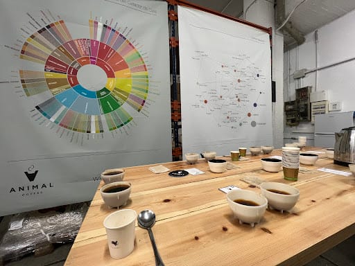 Animal Coffee Roasters: Café de Especialidad en L'Hospitalet