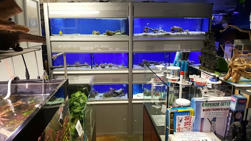 Emperor Tropicals en Plymouth: acuarios y terrarios