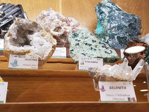 Litosphera: minerales y fósiles en el Eixample