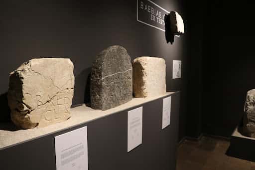 Museu Arqueològic de Gandia: guía de visita