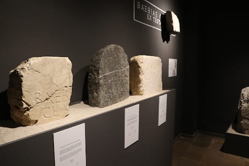 Museu Arqueològic de Gandia: guía de visita